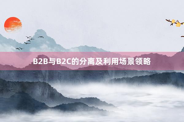 B2B与B2C的分离及利用场景领略