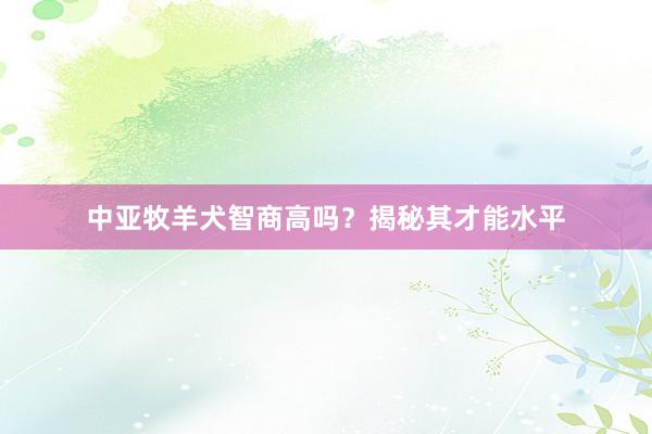 中亚牧羊犬智商高吗？揭秘其才能水平