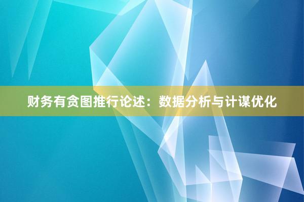 财务有贪图推行论述：数据分析与计谋优化