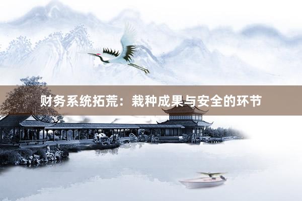财务系统拓荒:栽种成果与安全的环节